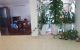 thum-9080316_j1FvyShnf9_1693148218.jpeg