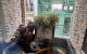 thum-9080541_DpWwBGFA21_1693239516.jpg