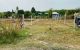 thum-m_iu6FGzTqX7_1693301536.jpg