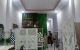 thum-9081411_lqnxzt3oav_1693734679.jpg