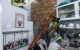 thum-9081412_X15ncxO9po_1693735438.jpg