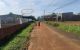 thum-9081477_wk23IZElYb_1693790755.jpg