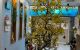 thum-9081510_GHoKcywibn_1693803806.jpeg