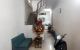 thum-9081702_iDVEB85KRd_1693887408.jpg