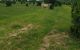 thum-m_x4SD2vbrkc_1694060414.jpg