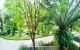 thum-9082629_wLFcvNCZ7J_1694189159.jpg