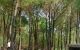 thum-9080430_NxXzM0jg2I_1694245043.jpg