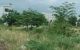 thum-9080430_wH0pC2AegQ_1694245013.jpg