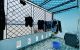 thum-9082655_UM6zr4thON_1694226839.jpg