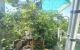 thum-9082741_gbIwYh3QWE_1694249800.jpg