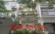 thum-9082767_H1ilzsJWVY_1694262055.jpg