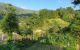 thum-9083202_2pyl5FtNHP_1694486280.jpg