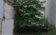 thum-9083381_L4nCeKslrw_1694511241.jpg