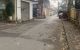 thum-9083683_bnd3AsuxOf_1694653043.jpg