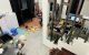 thum-9083684_PUwa60uvzy_1694653478.jpeg