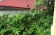 thum-9083993_VDONQ6WhCc_1694750850.jpg