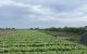 thum-9084022_HU9DmZoA5S_1694760081.jpg