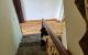 thum-9084036_mGQtJwWMd7_1694762380.jpg