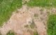 thum-m_NQmwaqUD6t_1694743637.jpg