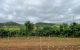 thum-9084325_L4OcPgD3rB_1694855985.jpg