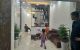 thum-9084899_H3eVdTuLP2_1695107583.jpg