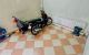 thum-9084931_8xfdHBsR7u_1695111299.jpg