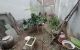 thum-9085018_hIaidr0KDb_1695136762.jpg