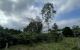 thum-m_lfbNqBSvuO_1695108362.jpg