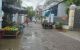 thum-9085290_xVcW1LQJI6_1695216756.jpg