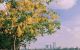 thum-m_ycGVjFYH6I_1695191947.jpg