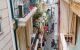thum-m_FPJQni7YpO_1695576819.jpg