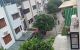 thum-9086769_AN8i6xqjbE_1695787514.jpg