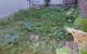 thum-m_9tF4Ixiq3d_1695822605.jpg
