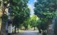 thum-m_azMgUjmVQY_1695779624.jpg