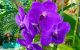 thum-9086954_zQJhm3EbeB_1695863485.jpg