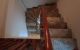 thum-9087401_mMy9nrqsAZ_1696040584.jpg