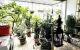 thum-9087696_ozfRxnXWhr_1696167560.jpg