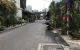 thum-9087875_IQOrUFydzi_1696231948.jpg
