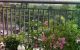 thum-9087930_q7jPN3VLG4_1696237538.jpg