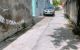 thum-9088317_ysx03486K9_1696383608.jpg