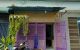 thum-m_sjopUlBLy5_1696604816.jpg