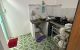 thum-9089038_QMPaVo2X8m_1696648104.jpg