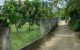 thum-9089795_ABrXkJYF3i_1696926040.jpg