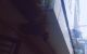 thum-9089860_km1wyxqNHo_1696952792.jpg