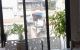 thum-9090106_7xmhG6JgsS_1697039044.jpg