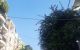 thum-9090175_8AjOz1pf24_1697081161.jpg