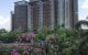 thum-m_hFQPbqYVED_1697084443.jpg