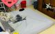 thum-9090453_ea6Rbkf4xX_1697168786.jpg