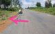 thum-9090518_kt8JRGUpM3_1697184009.jpg