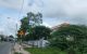 thum-m_wgyZd58SFY_1697249519.jpg
